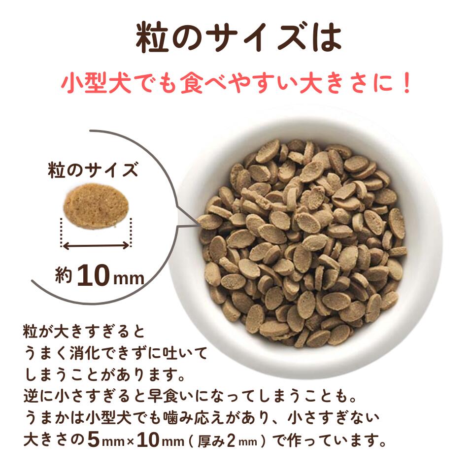 粒のサイズは小型犬でも食べやすい