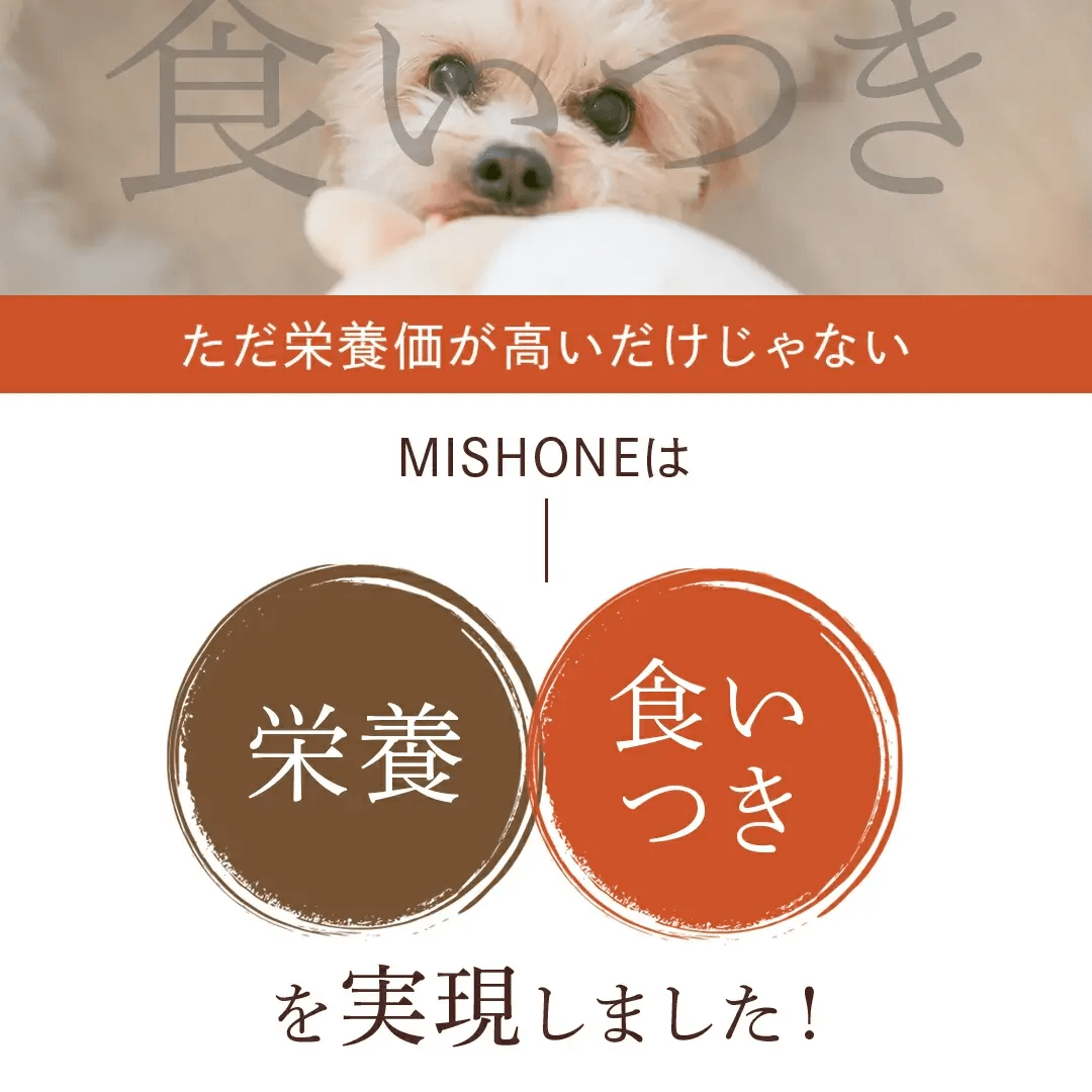 食いつき1