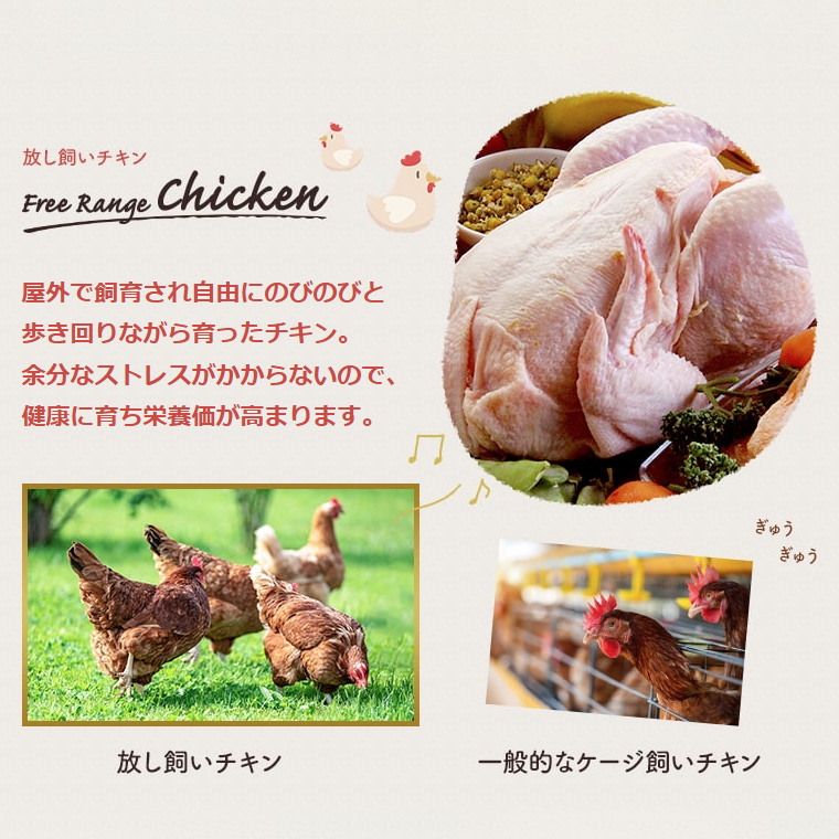 放し飼いチキン使用