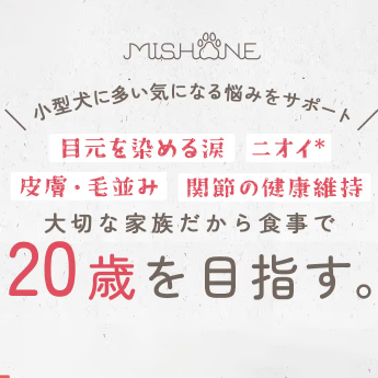 涙やけ、皮膚・毛並み、お腹のゆるみなど、様々な悩みに対応