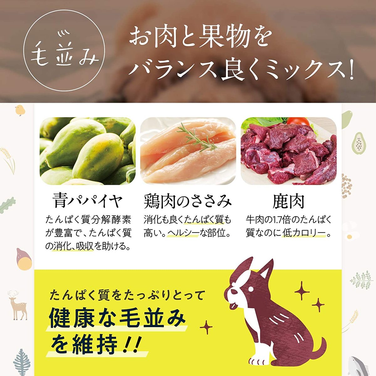 小型犬の体を考えた「超健康レシピ」