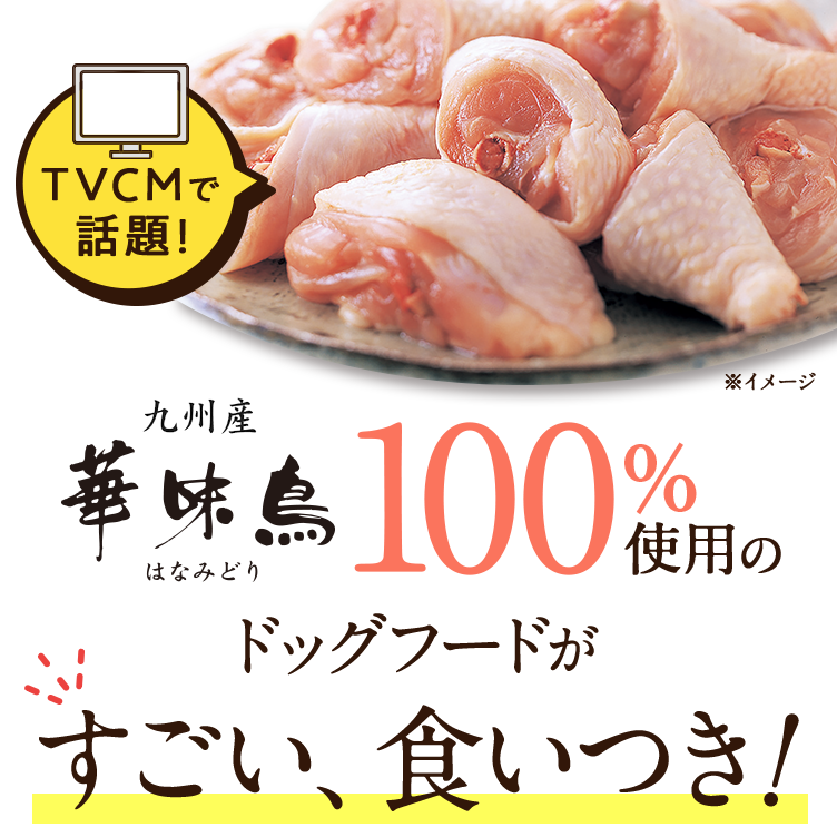 驚きの食いつき