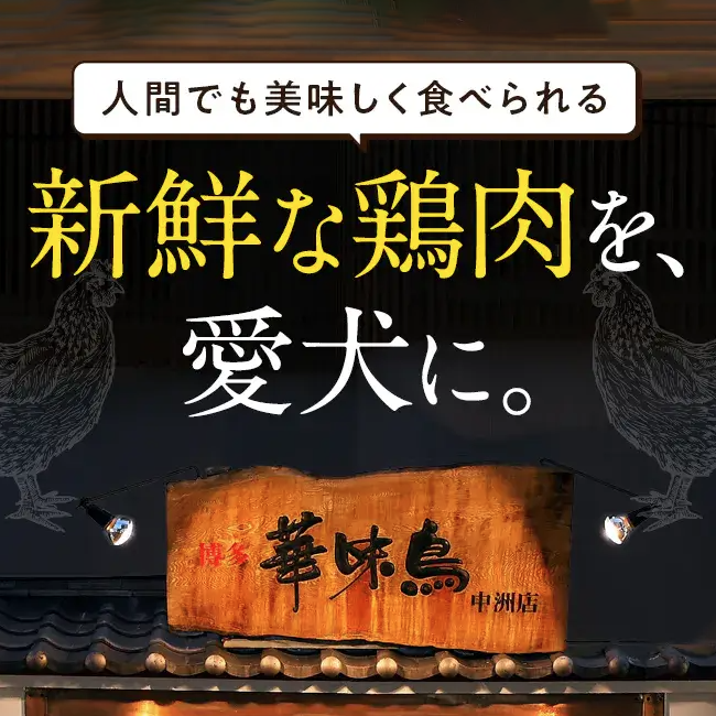 老舗の水炊き料亭が開発