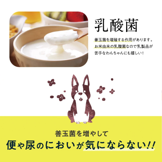 善玉菌を増やし、便臭を抑えて腸内フローラを整える乳酸菌配合