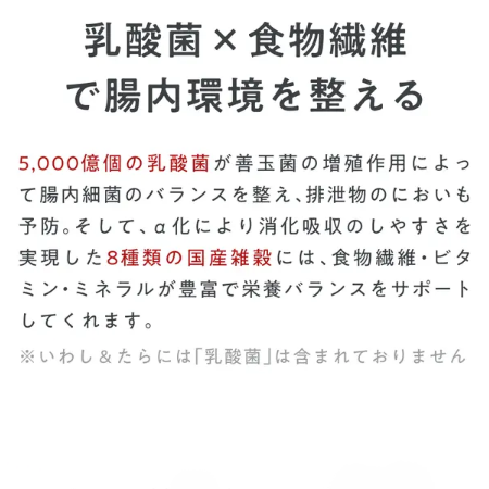乳酸菌も配合