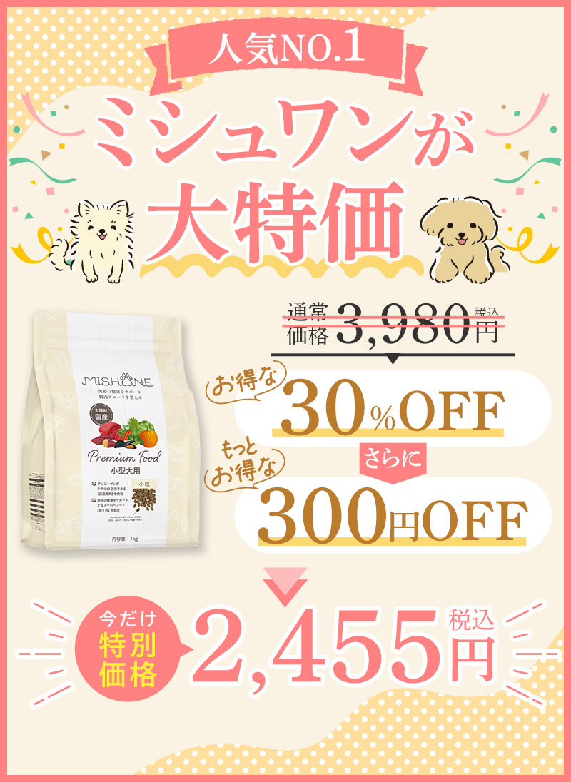 人気NO.1 ミシュワンが大特価！