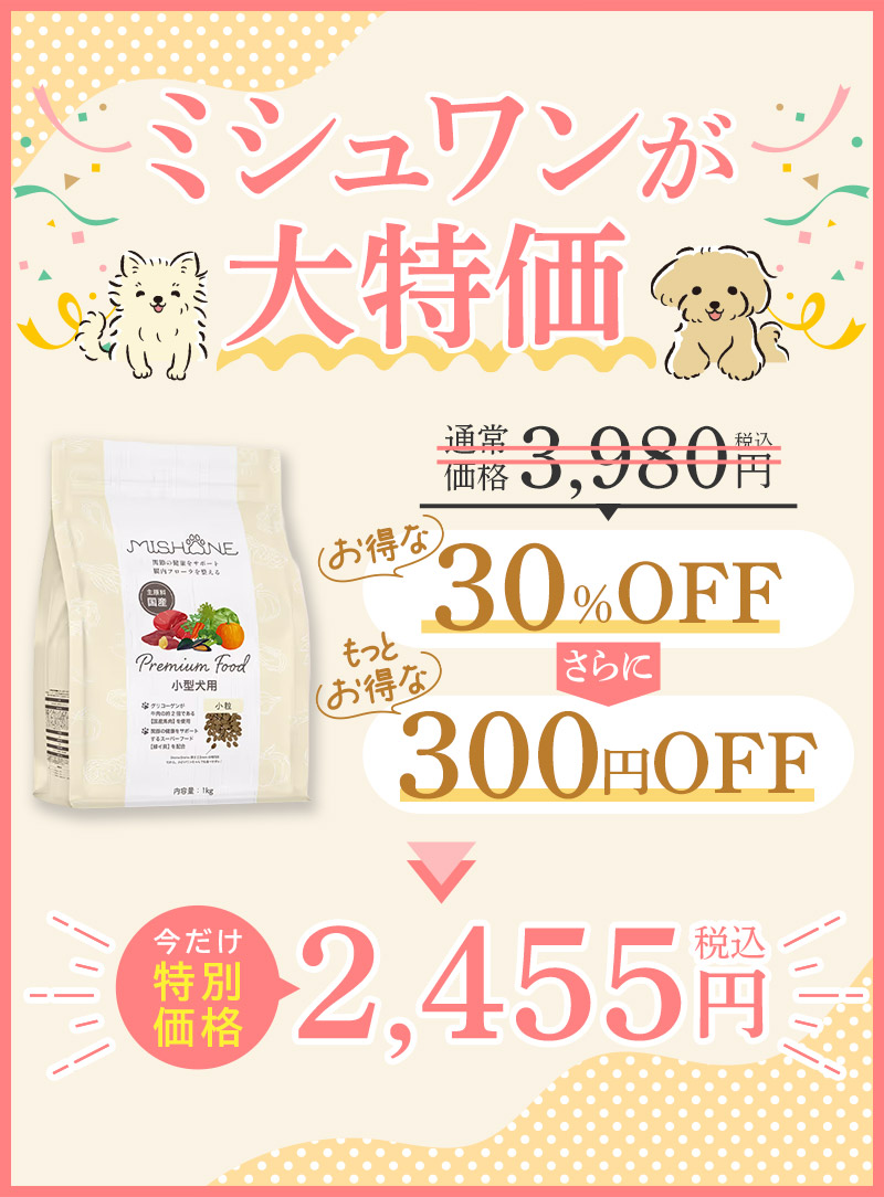 ミシュワンが大特価