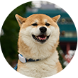 もちこ