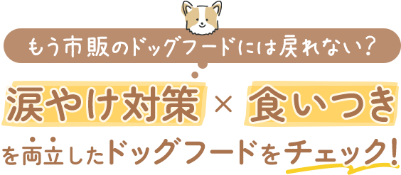 涙やけ対策×食いつきを両立したドッグフードをチェック