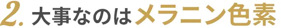 2.大事なのはメラニン色素
