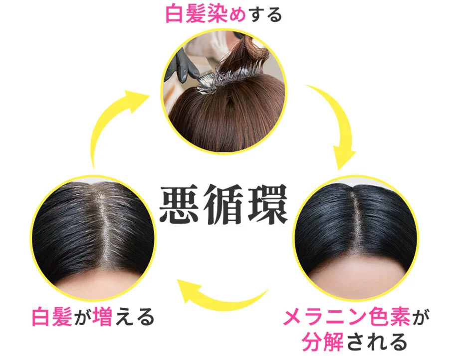 白髪染めする→メラニン色素が分解される→白髪が増えるの悪循環